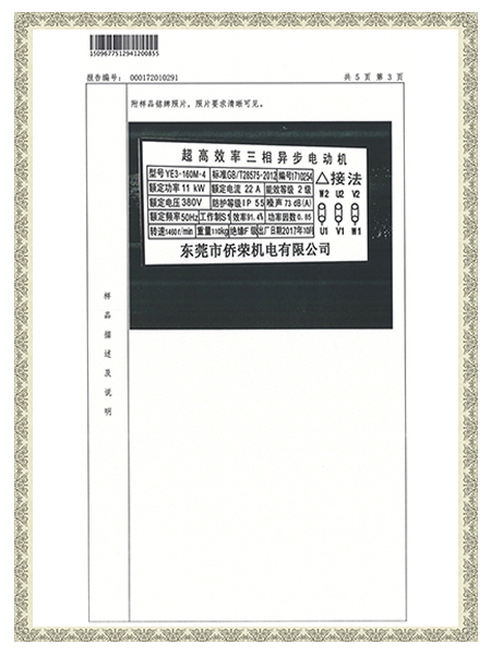 YE3-160M-4報(bào)告-樣品概述